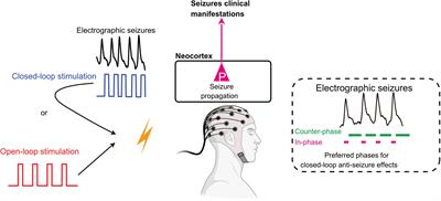 Temporally Targeted Interactions With Pathologic Oscillations as Therapeutical Targets in Epilepsy and Beyond